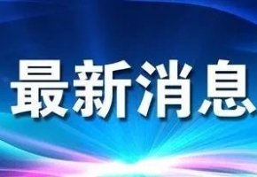 穩(wěn)增長 促發(fā)展 強(qiáng)信心 | “箱”聚春天 “包”您滿意